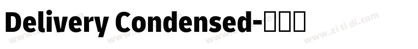 Delivery Condensed字体转换